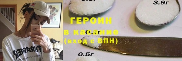 индика Богородск