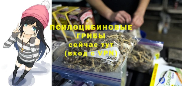 дмт Белоозёрский