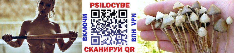 Галлюциногенные грибы мицелий  Севск 
